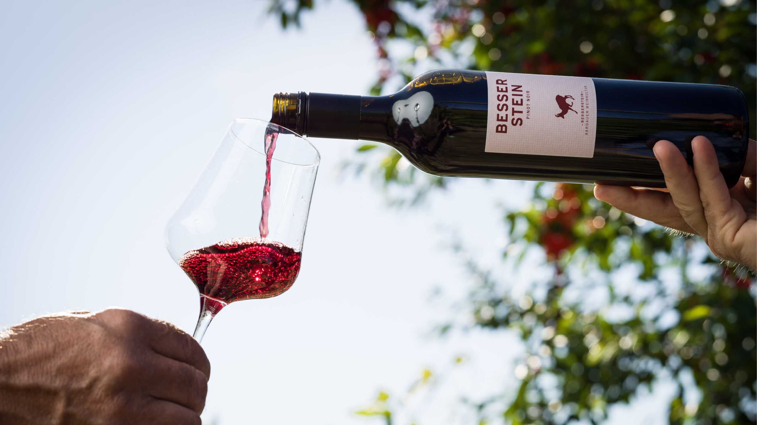 FD-003_Bessersteinwein2