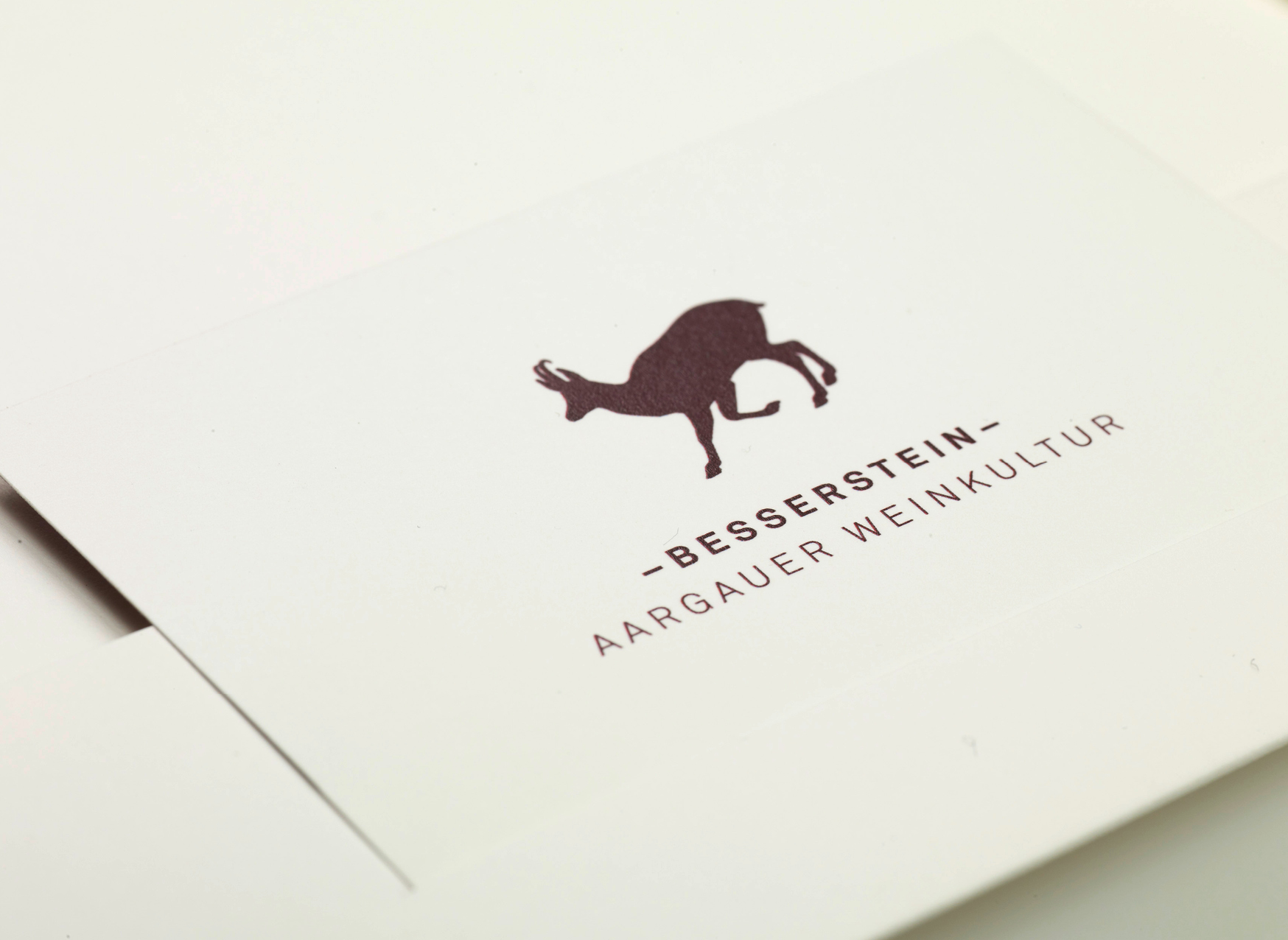 FD-003_Bessersteinwein_33