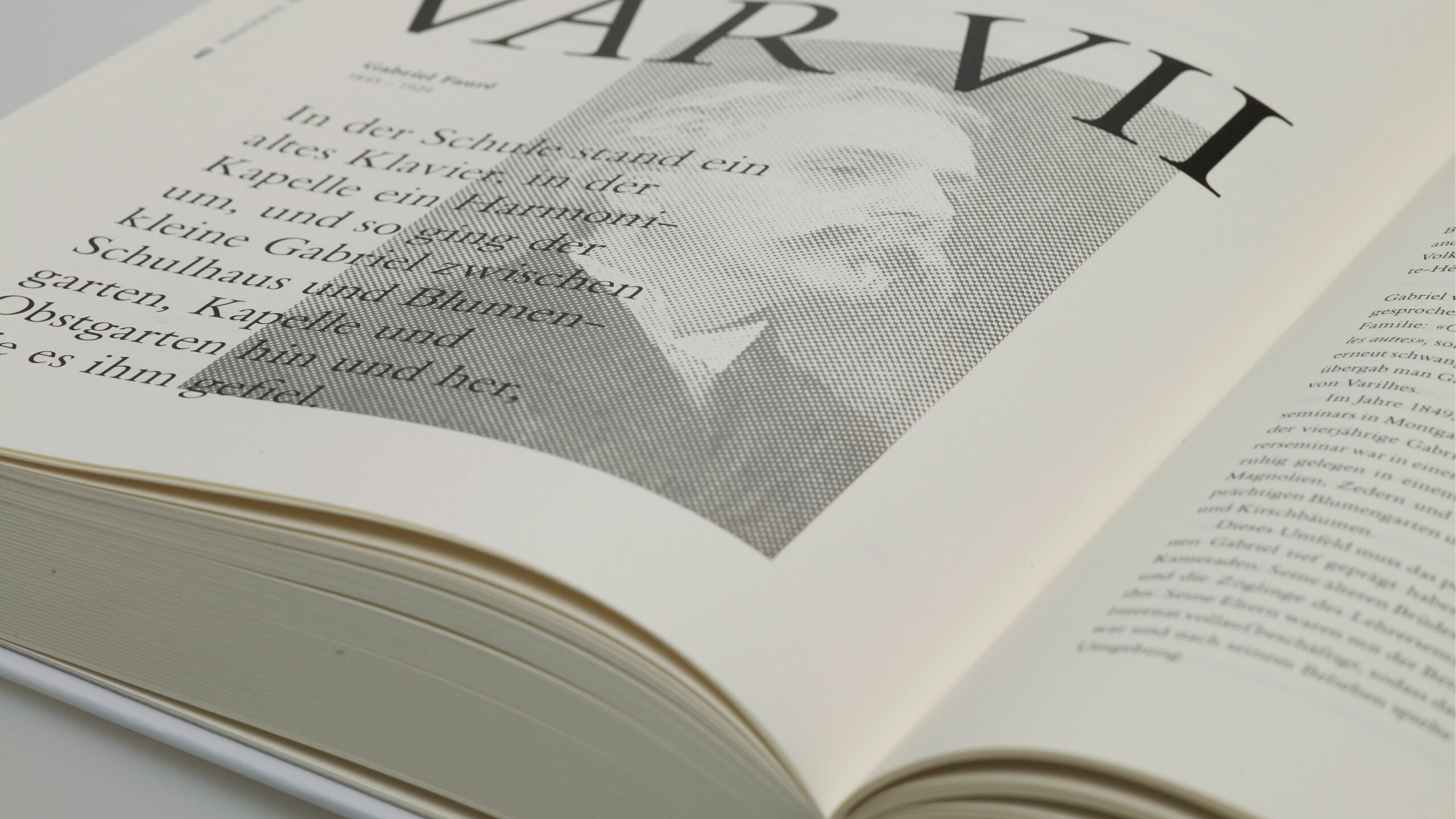 FD-000__BuchStaeuble2