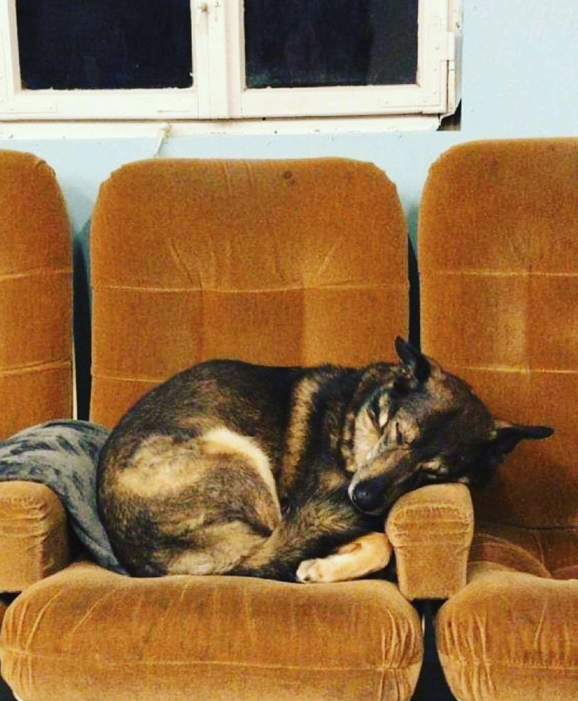 Bildschirmfoto 2026-01-20 um 11.59.27